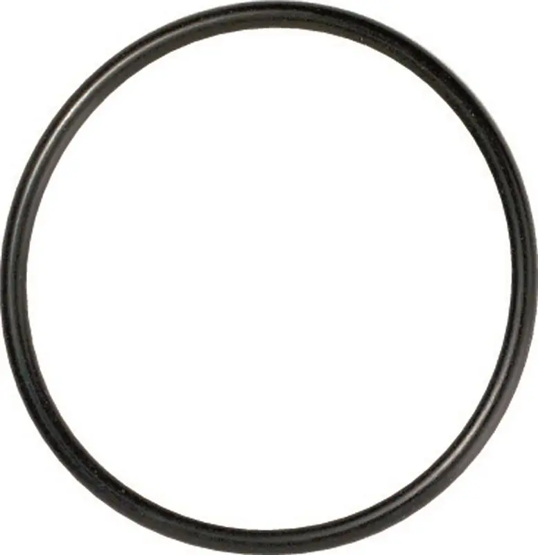Gates 96-01 A4 (Inc Quattro) / 95-04 A6 (Inc Quattro) Thermostat Seal 1