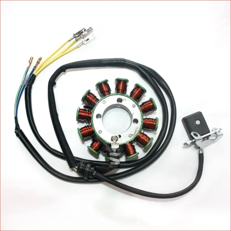 12 Pole Magneto Flywheel Stator Plate 200Cc 250Cc Pit Quad Dirt Bike Atv Buggy 1