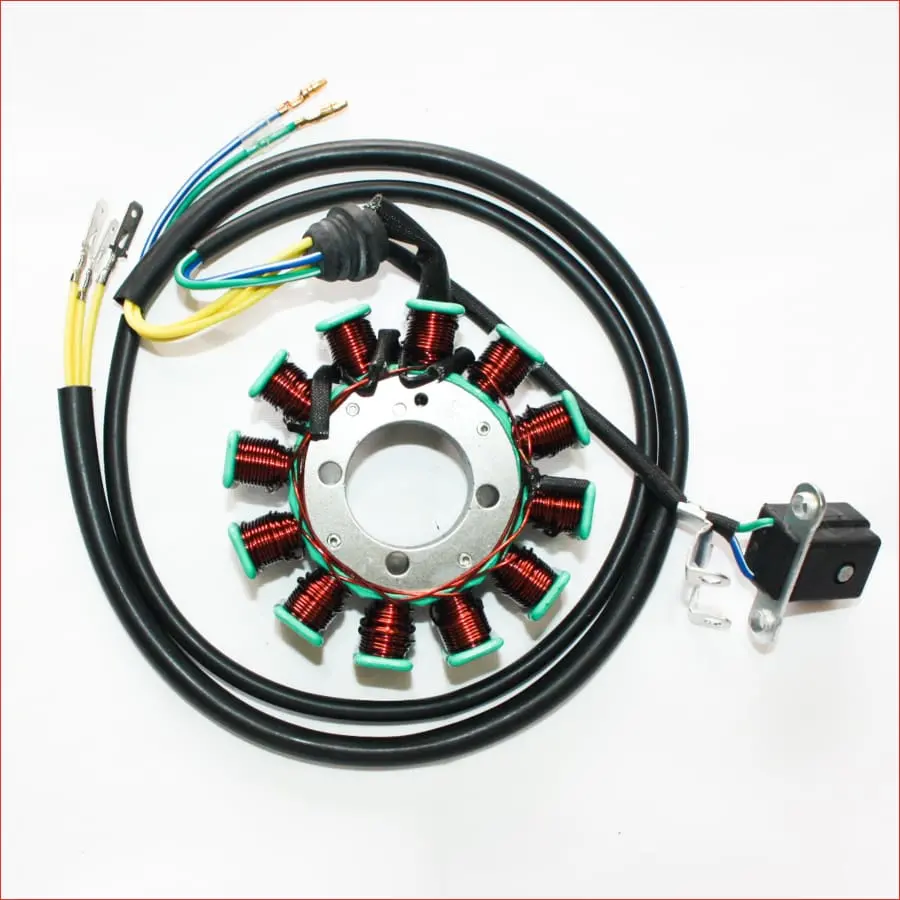 12 Pole Magneto Flywheel Stator Plate 250Cc 300Cc Pit Quad Dirt Bike Atv Buggy 1