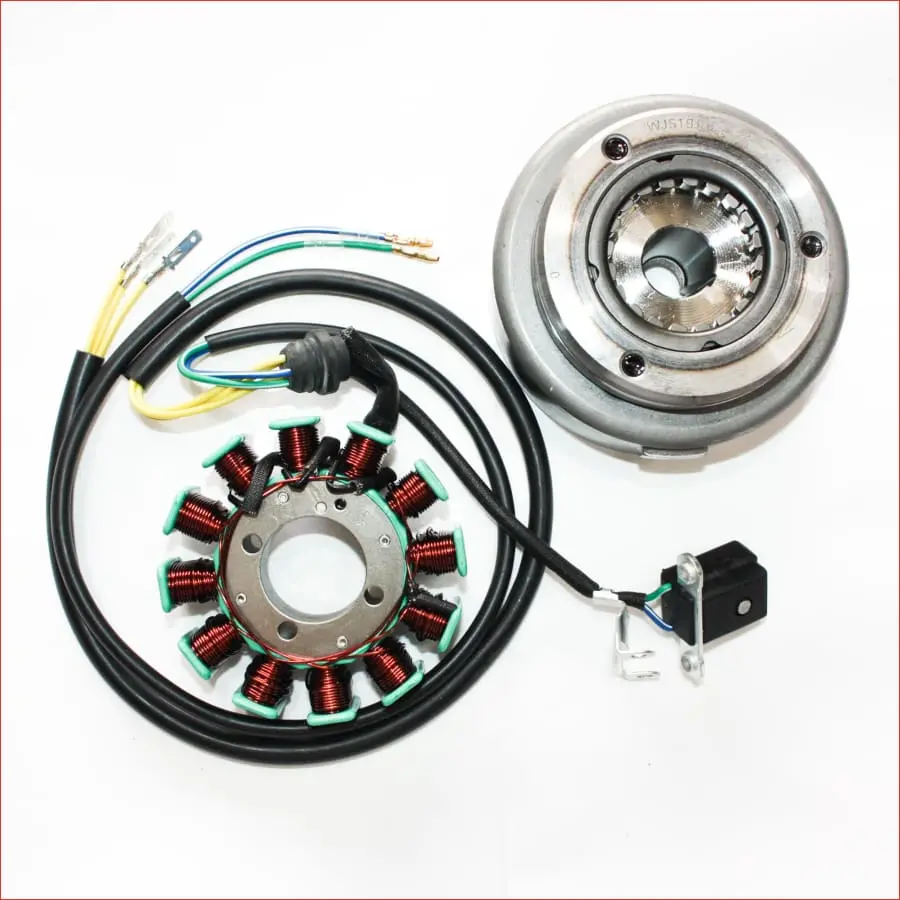 12 Pole Magneto Stator Roller Flywheel 200Cc 250Cc Engine Pit Quad Dirt Bike Atv 1