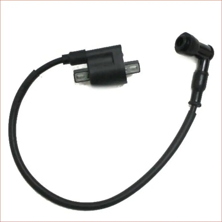 150Cc-250Cc Ignition Coil 1