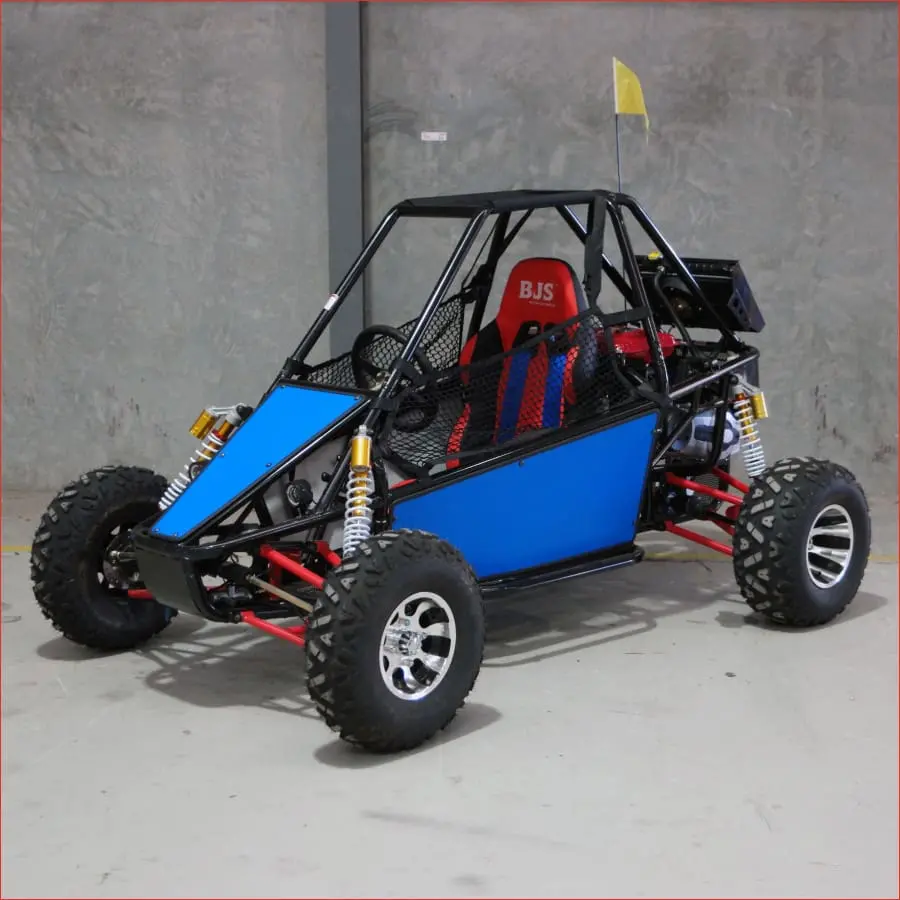 300Rs Solo - Buggy 1