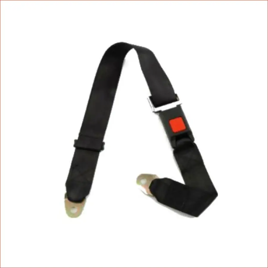 Seat Belt - 2 Point Safety Harness 1