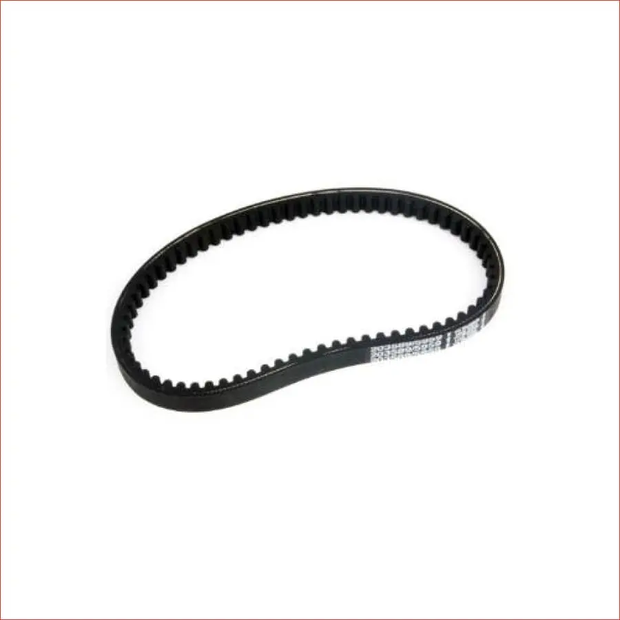 Tav Torque Converter Belt 1