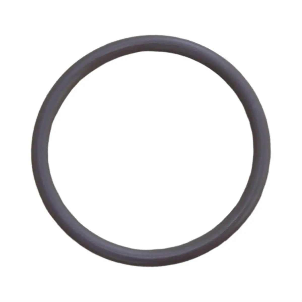 Clear View Filtration Replacement O-Ring – Universal Fit, Size 231 1